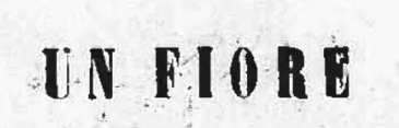 Un Fiore